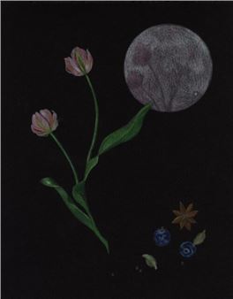 Tania Qurashi: Echo of Another - Marginal Utility