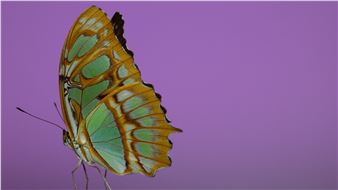 Andrea Galvani: The Void Migrates to the Surface - Fotografiska Shanghai