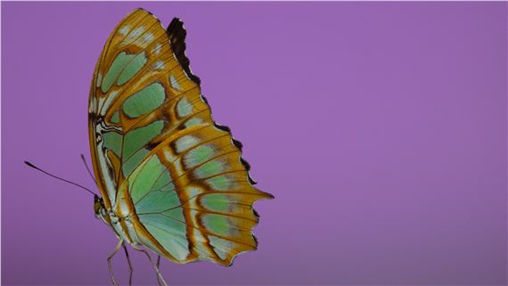 Andrea Galvani: The Void Migrates to the Surface - Fotografiska Shanghai