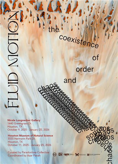 Fluid Motion: The Coexistence of Order and Chaos - Nicole Longnecker Gallery