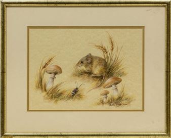 Mouse & Mushrooms - Heather Sclater