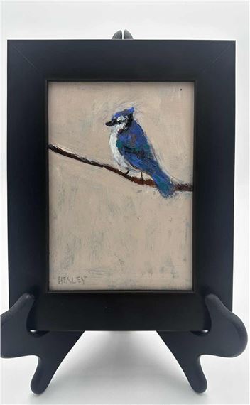 Bluejay by Paul Healey