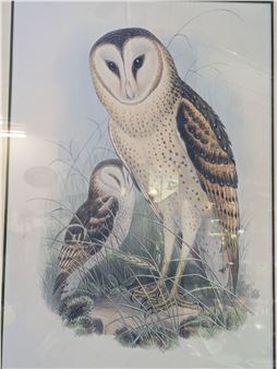 The Weekly Collectables And Jewellery Auction - Small & Whitfield