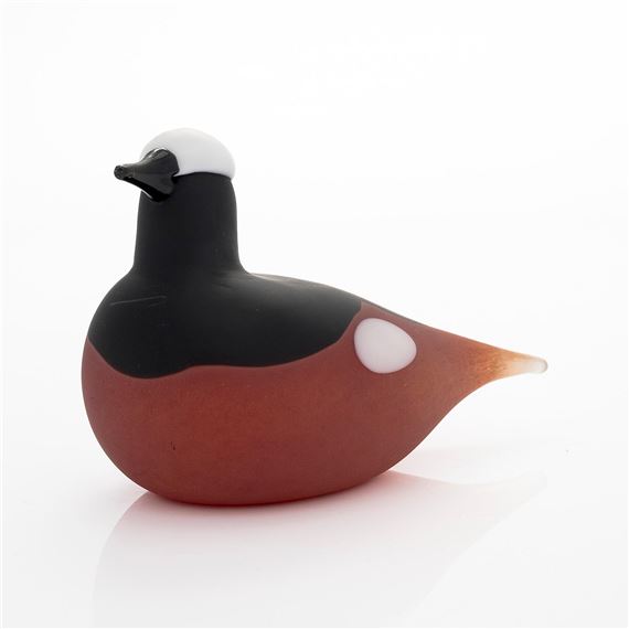 Mountain Redstart by Oiva Toikka