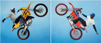 Giants: Art from the Dean Collection of Swizz Beatz and Alicia Keys - Virginia Museum of Fine Arts