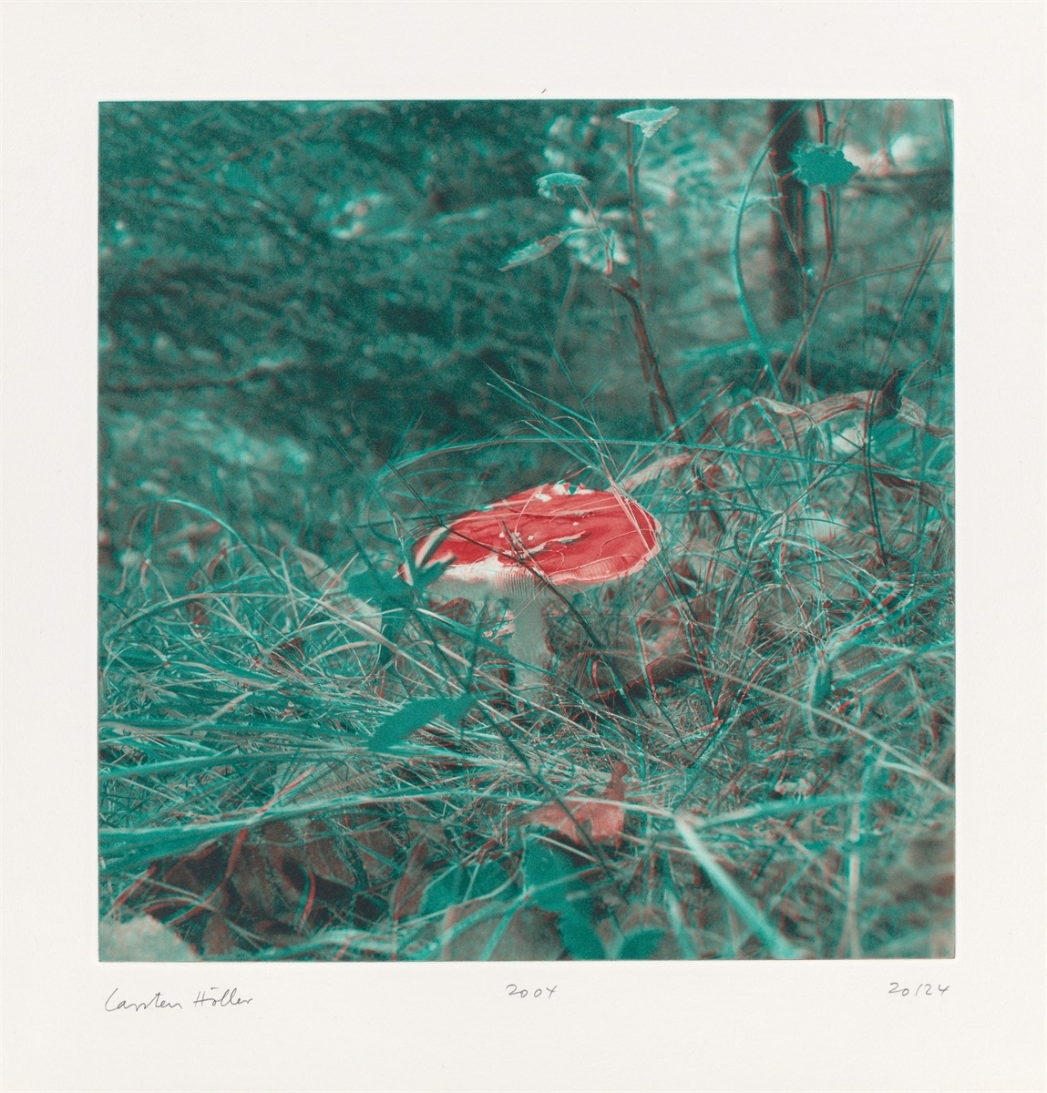 Artwork by Carsten Höller, Mushrooms, Made of Photogravure On Somerset Wove Paper