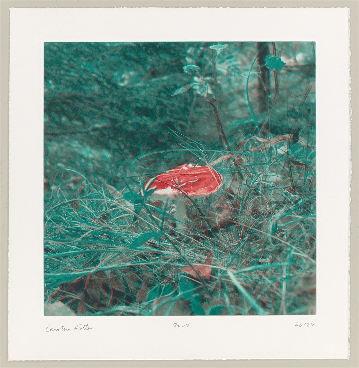 Artwork by Carsten Höller, Mushrooms, Made of Photogravure On Somerset Wove Paper