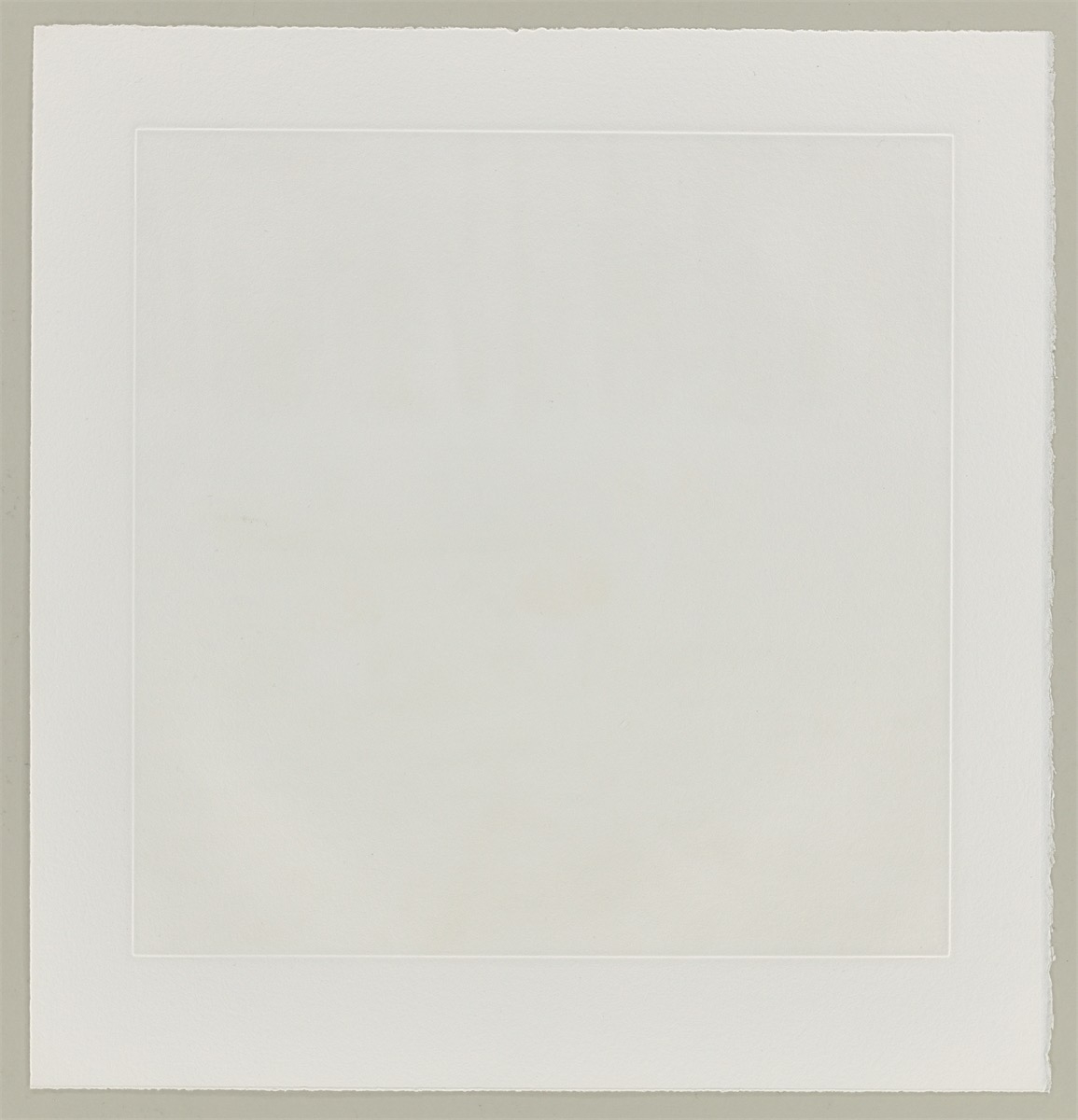 Artwork by Carsten Höller, Mushrooms, Made of Photogravure On Somerset Wove Paper