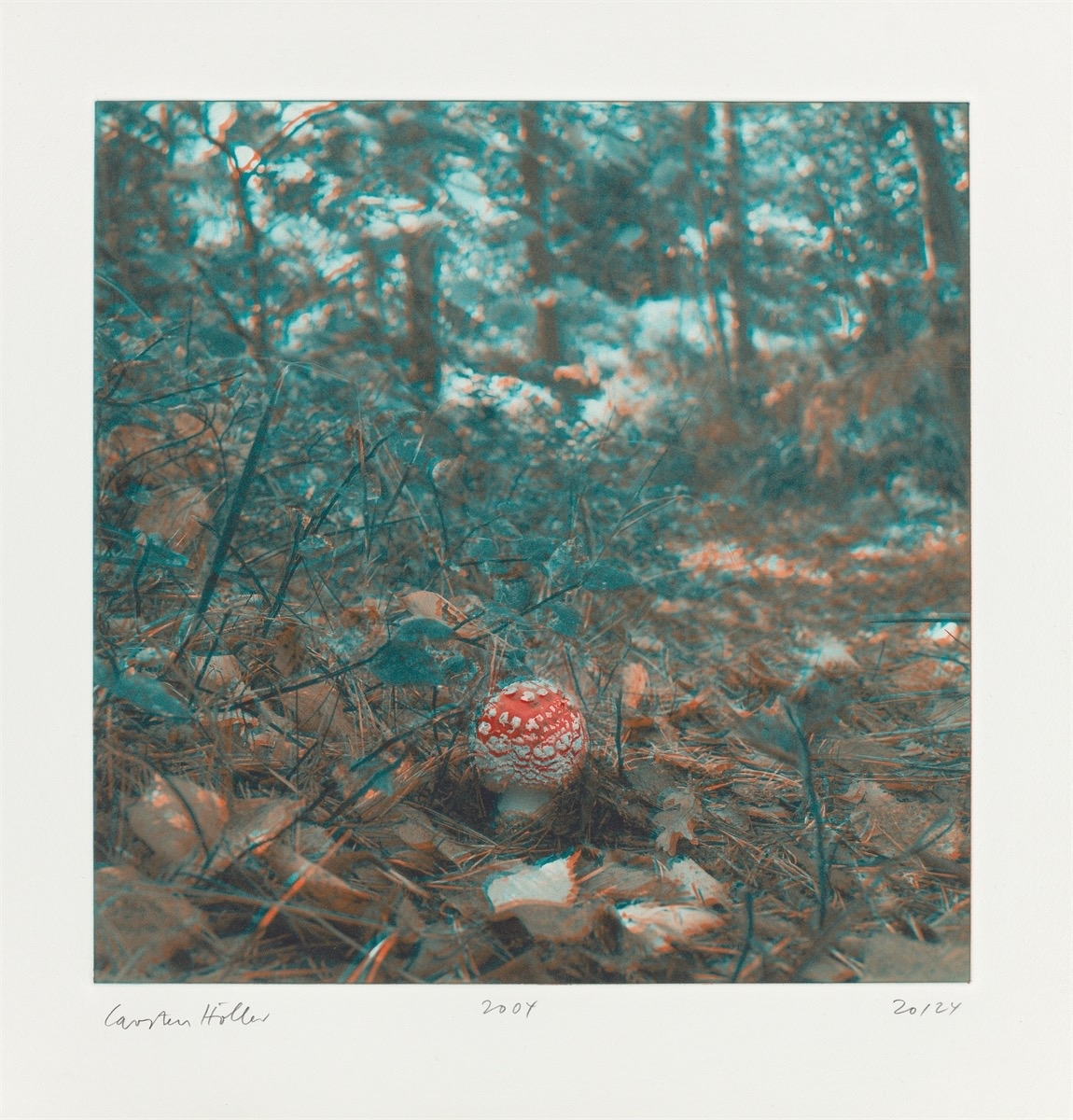 Artwork by Carsten Höller, Mushrooms, Made of Photogravure On Somerset Wove Paper