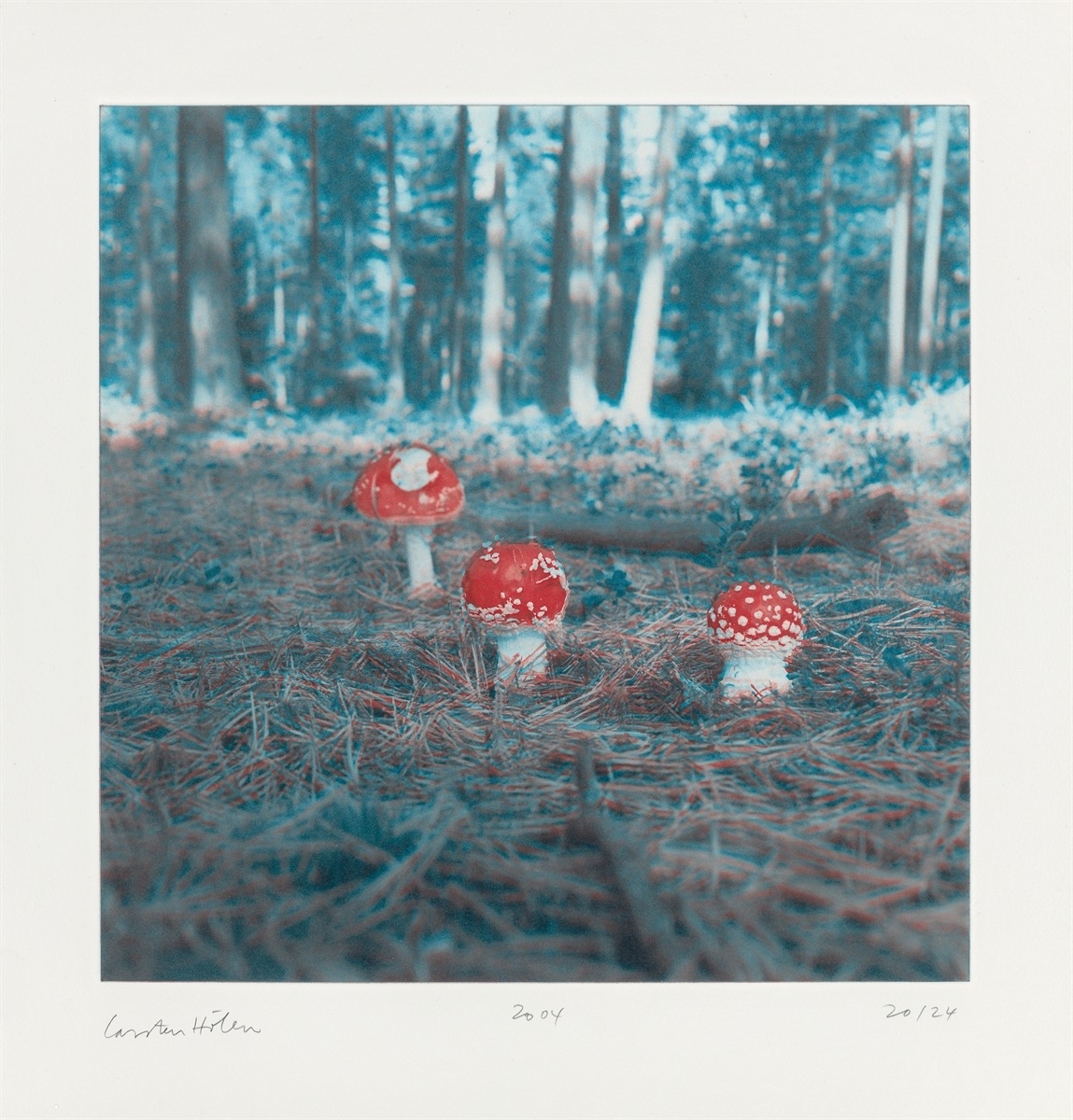 Artwork by Carsten Höller, Mushrooms, Made of Photogravure On Somerset Wove Paper