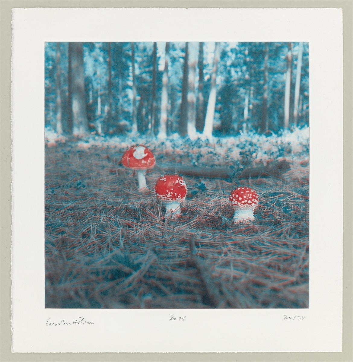 Artwork by Carsten Höller, Mushrooms, Made of Photogravure On Somerset Wove Paper