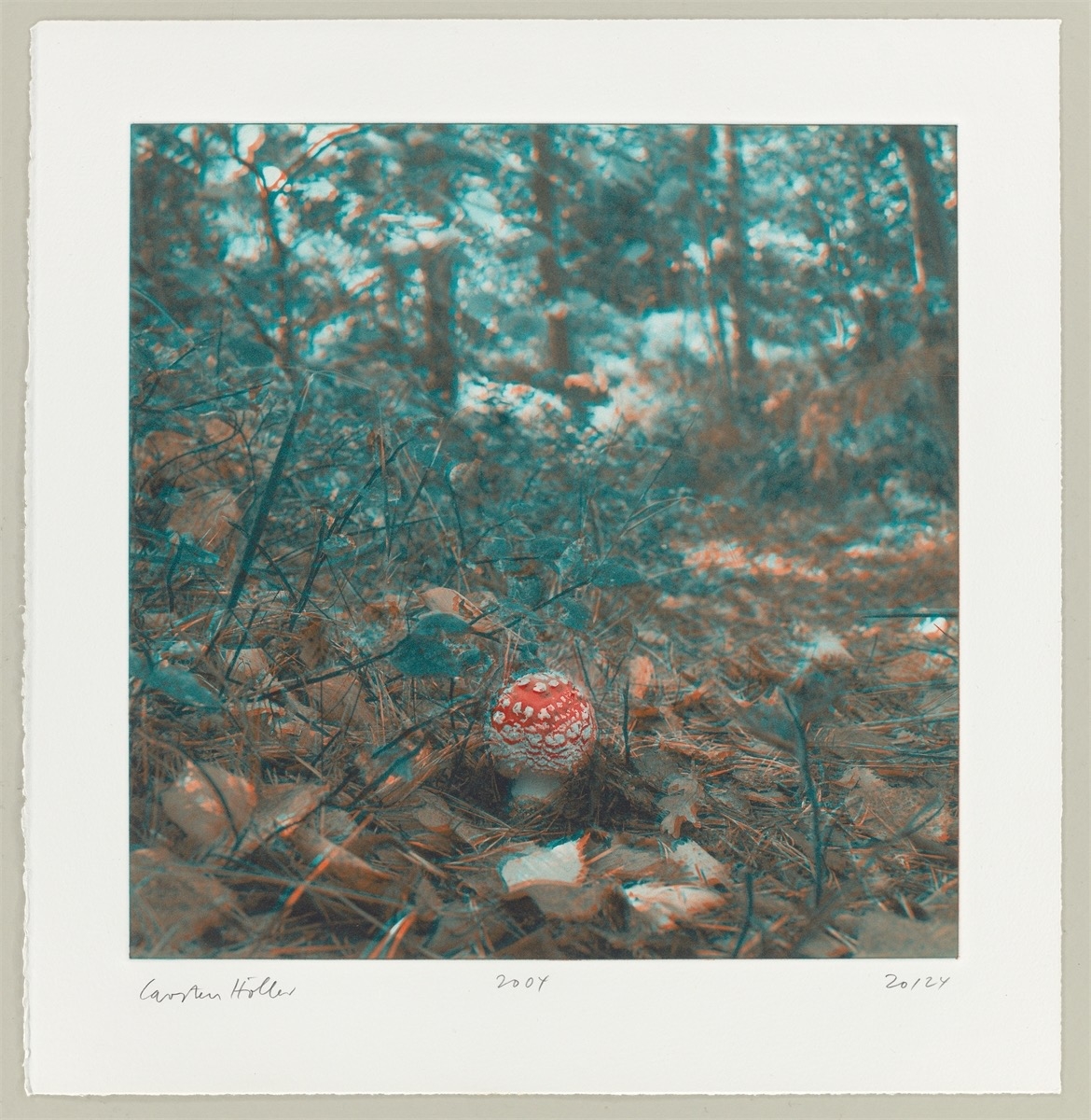 Artwork by Carsten Höller, Mushrooms, Made of Photogravure On Somerset Wove Paper