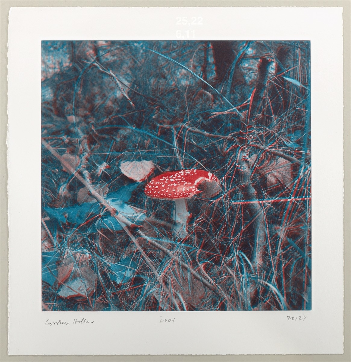 Artwork by Carsten Höller, Mushrooms, Made of Photogravure On Somerset Wove Paper