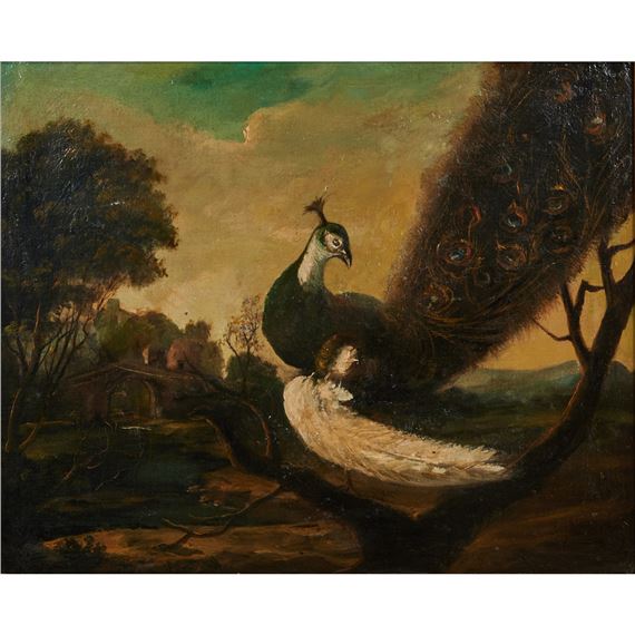 Peacock by Continental School, 19th Century, 19th Century