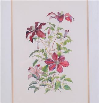 pair of botanical studies - Rosaleen Wain