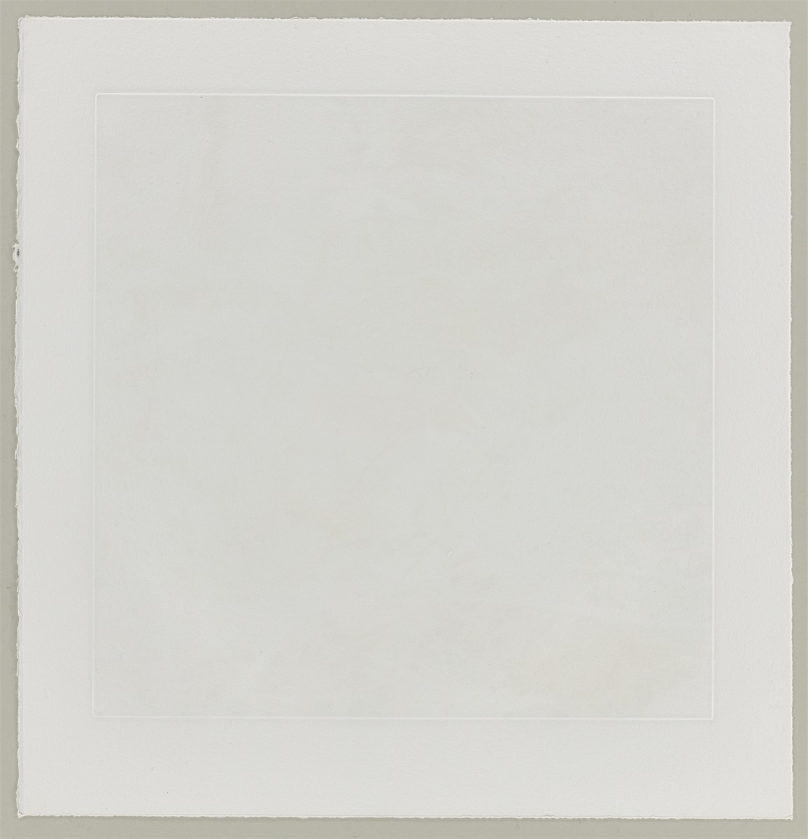 Artwork by Carsten Höller, Mushrooms, Made of Photogravure On Somerset Wove Paper