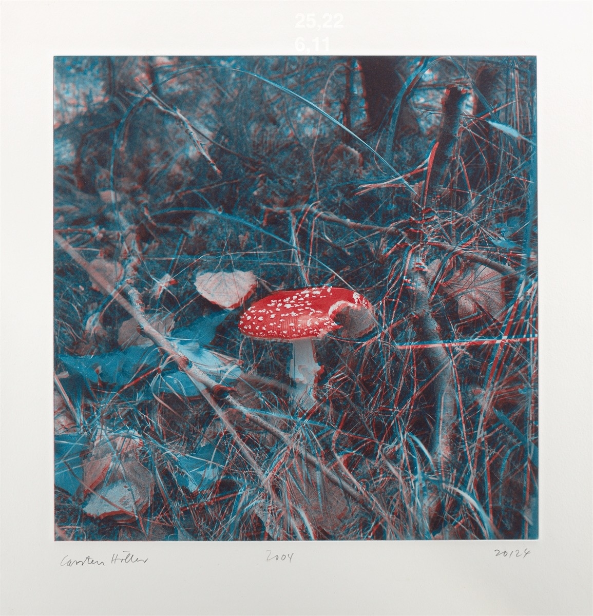 Artwork by Carsten Höller, Mushrooms, Made of Photogravure On Somerset Wove Paper