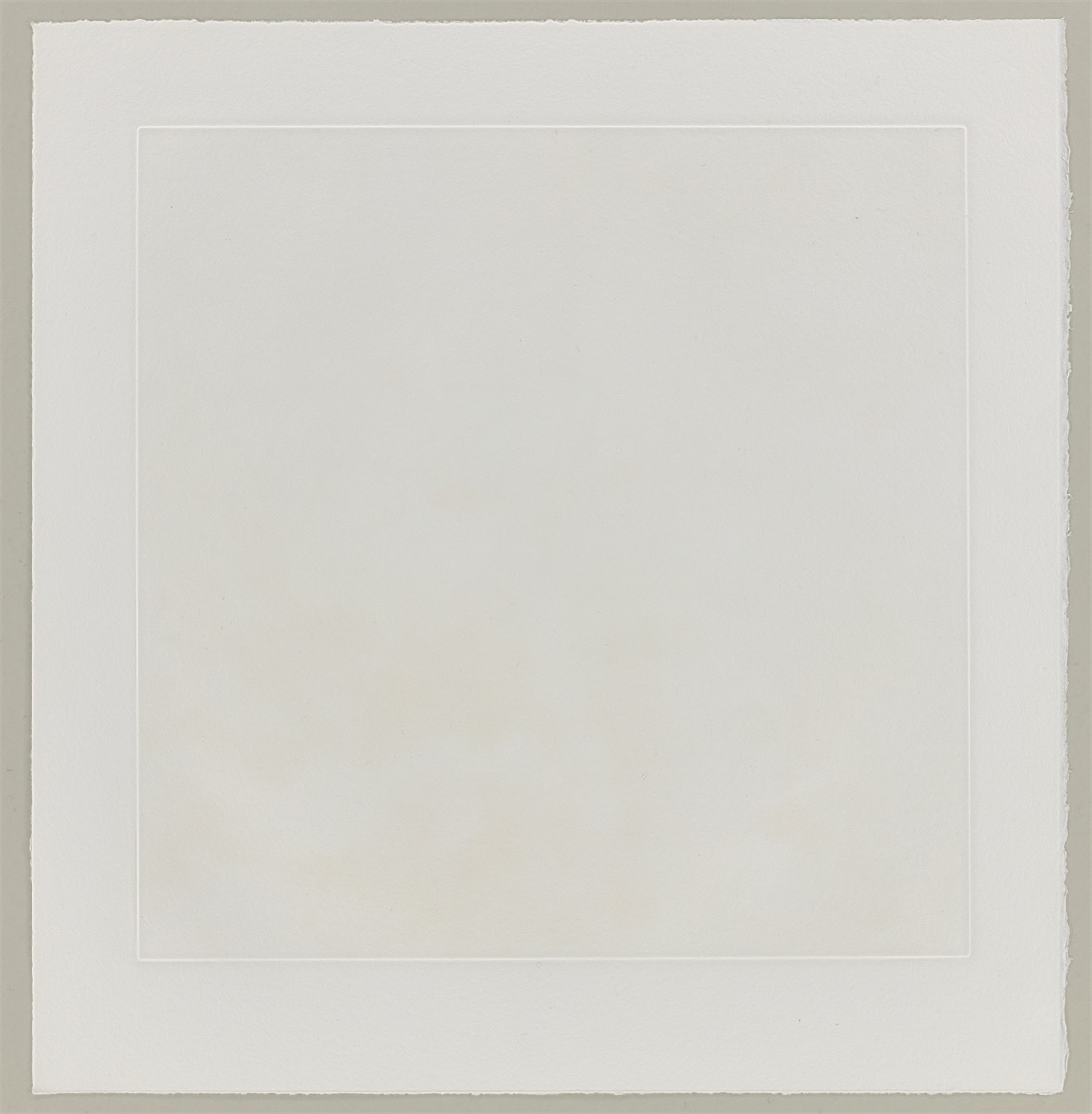 Artwork by Carsten Höller, Mushrooms, Made of Photogravure On Somerset Wove Paper