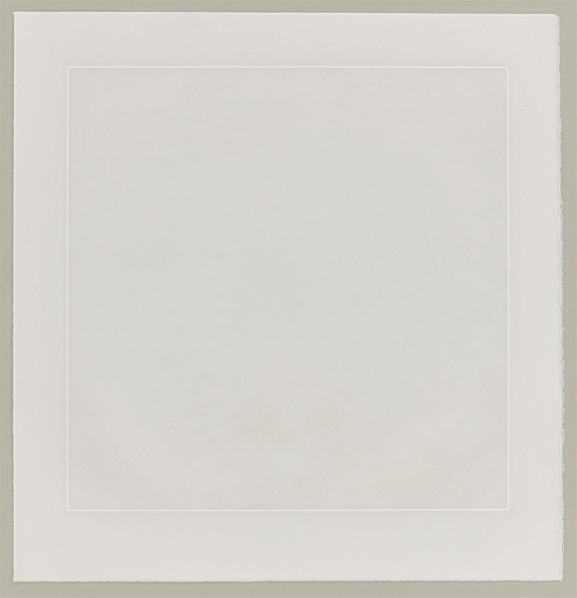 Artwork by Carsten Höller, Mushrooms, Made of Photogravure On Somerset Wove Paper