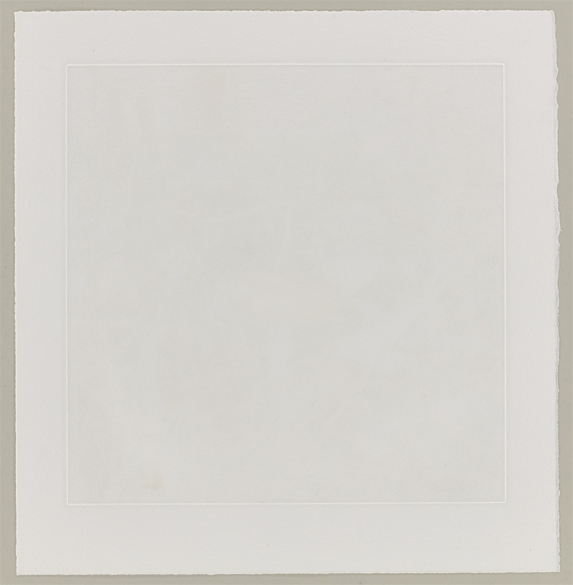 Artwork by Carsten Höller, Mushrooms, Made of Photogravure On Somerset Wove Paper