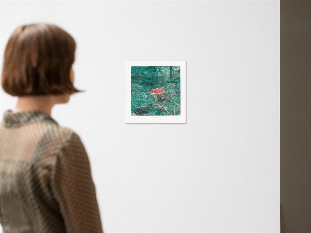 Artwork by Carsten Höller, Mushrooms, Made of Photogravure On Somerset Wove Paper