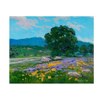 California Landscape - Felice Hrovat