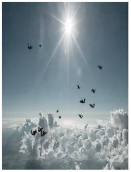 Anna Vogel: Fly In Fly Out