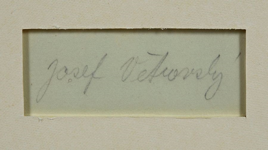 Artwork by Josef Vetrovsky, Woman in chiaroscuro, Made of Silver Print