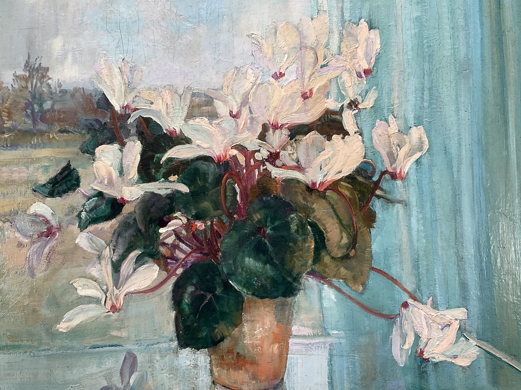 Artwork by Amy Millar Watt, Still Life Cyclamen, Made of Oil on canvas laid on board