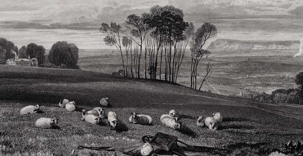 Artwork by Joseph Mallord William Turner, Pevensey Bay from Crowhurst Park, Made of Etching On Wove Paper