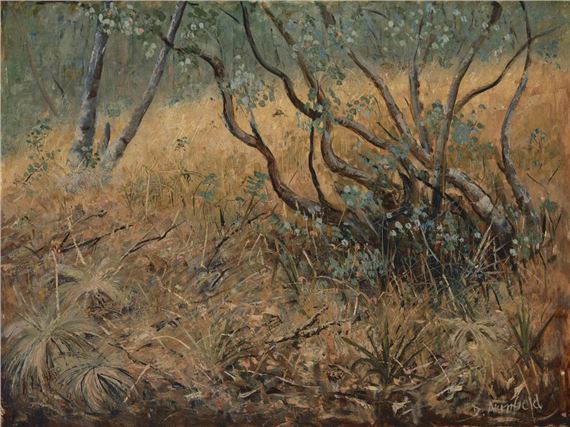 Young Red Fox - David Armfield