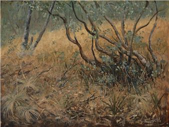 Young Red Fox - David Armfield