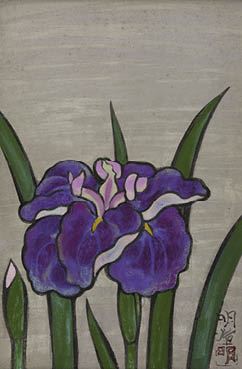 iris - Meiji Hashimoto