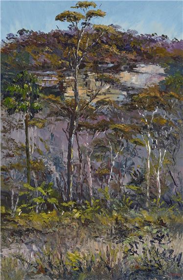 Rocks Down Wakehurst Parkway - Stephan Mann