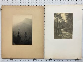 Discovery Auction - Briggs Auction