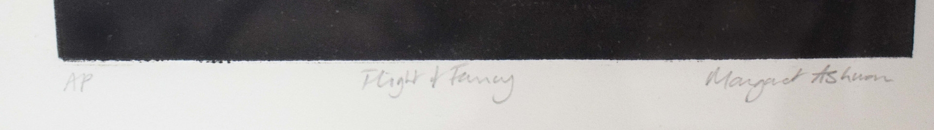 Artwork by Margaret Ashman, FLIGHT OF FANCY, Made of Photo Etching