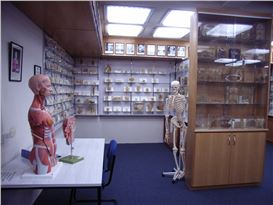 Tasmanian Museum Kept Human Remains Without Consent, Inquiry Finds