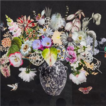 Jane Hammond: Chocolate Cosmos, String of Pearls - Berggruen Gallery