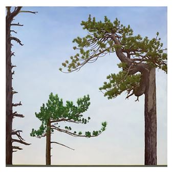 Greg Rose: The Story So Far… - CMAY Gallery