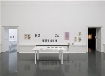 Stefan Bertalan: I have lived with a sunflower for 130 days - Badischer Kunstverein