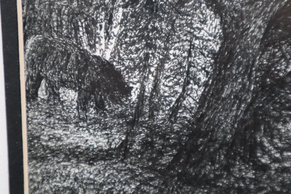 Artwork by Harold Cromwell, Beware the Bear, Made of Ink Drawing