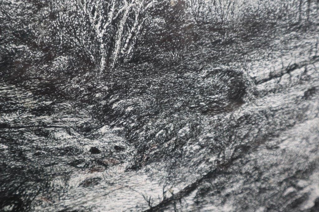 Artwork by Harold Cromwell, Beware the Bear, Made of Ink Drawing