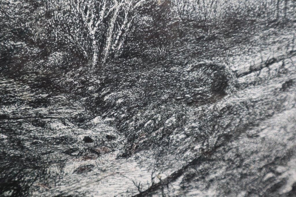 Artwork by Harold Cromwell, Beware the Bear, Made of Ink Drawing