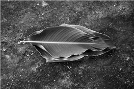 Maruch Sántiz Gómez. Beliefs of our ancestors