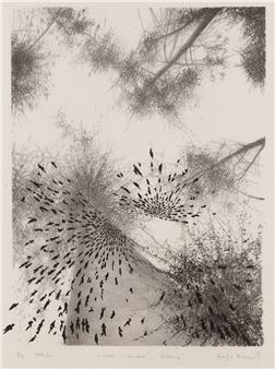 Ziemia - Zofia Broniek