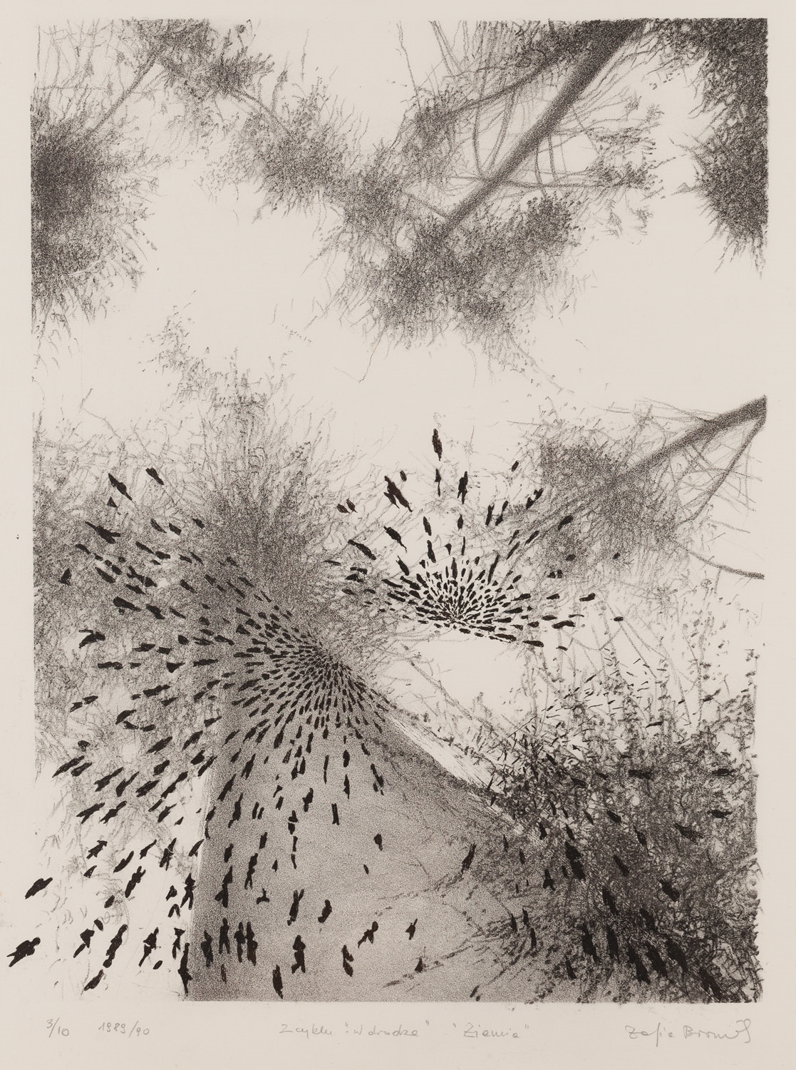 Artwork by Zofia Broniek, Ziemia, Made of Litografia/Papier