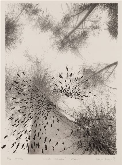 Ziemia - Zofia Broniek