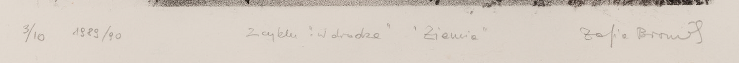 Artwork by Zofia Broniek, Ziemia, Made of Litografia/Papier