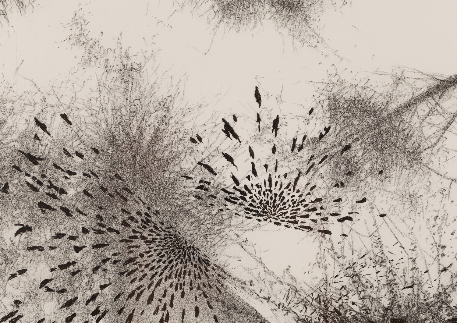 Artwork by Zofia Broniek, Ziemia, Made of Litografia/Papier