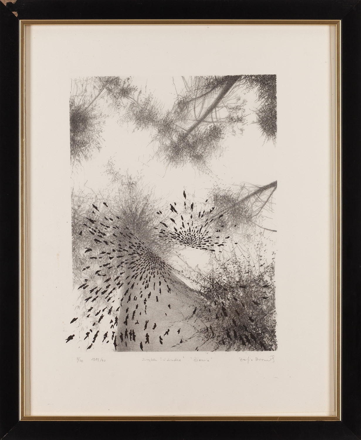 Artwork by Zofia Broniek, Ziemia, Made of Litografia/Papier